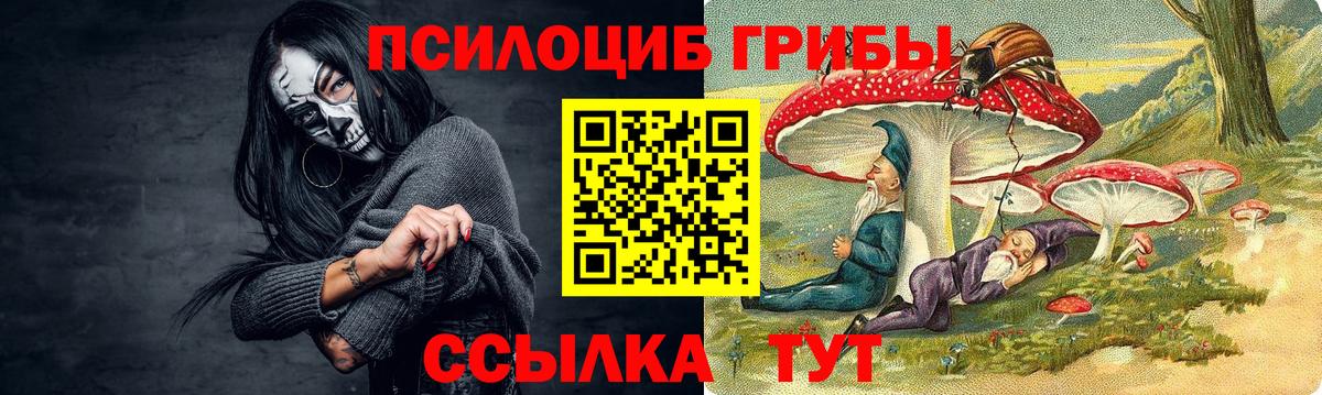 Галлюциногенные грибы GOLDEN TEACHER Железногорск